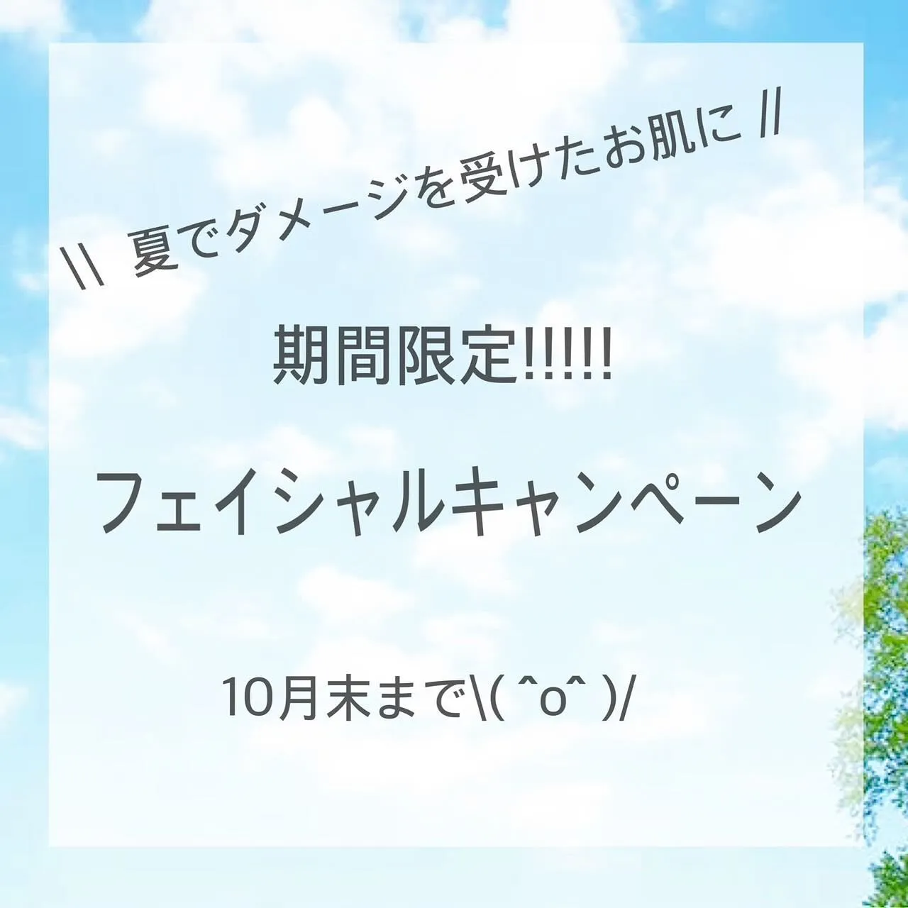 まだまだ暑い日が続いていますね🌞