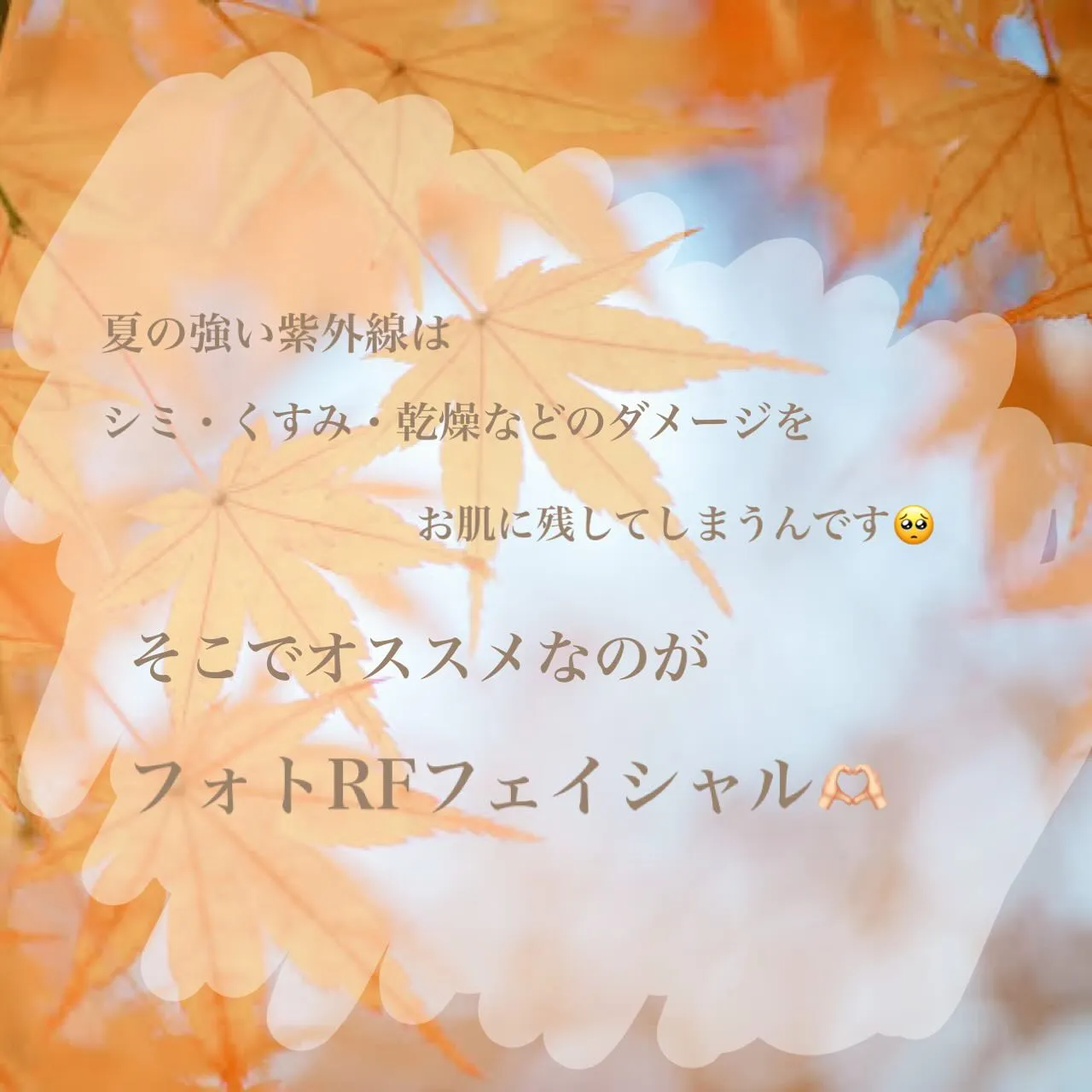 まだまだ暑い日が続きますがもう9月になりましたね😌
