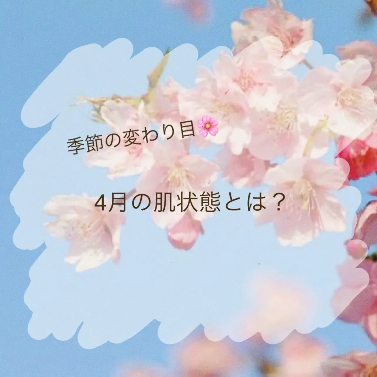 だんだんと暖かくなってきましたね🌸