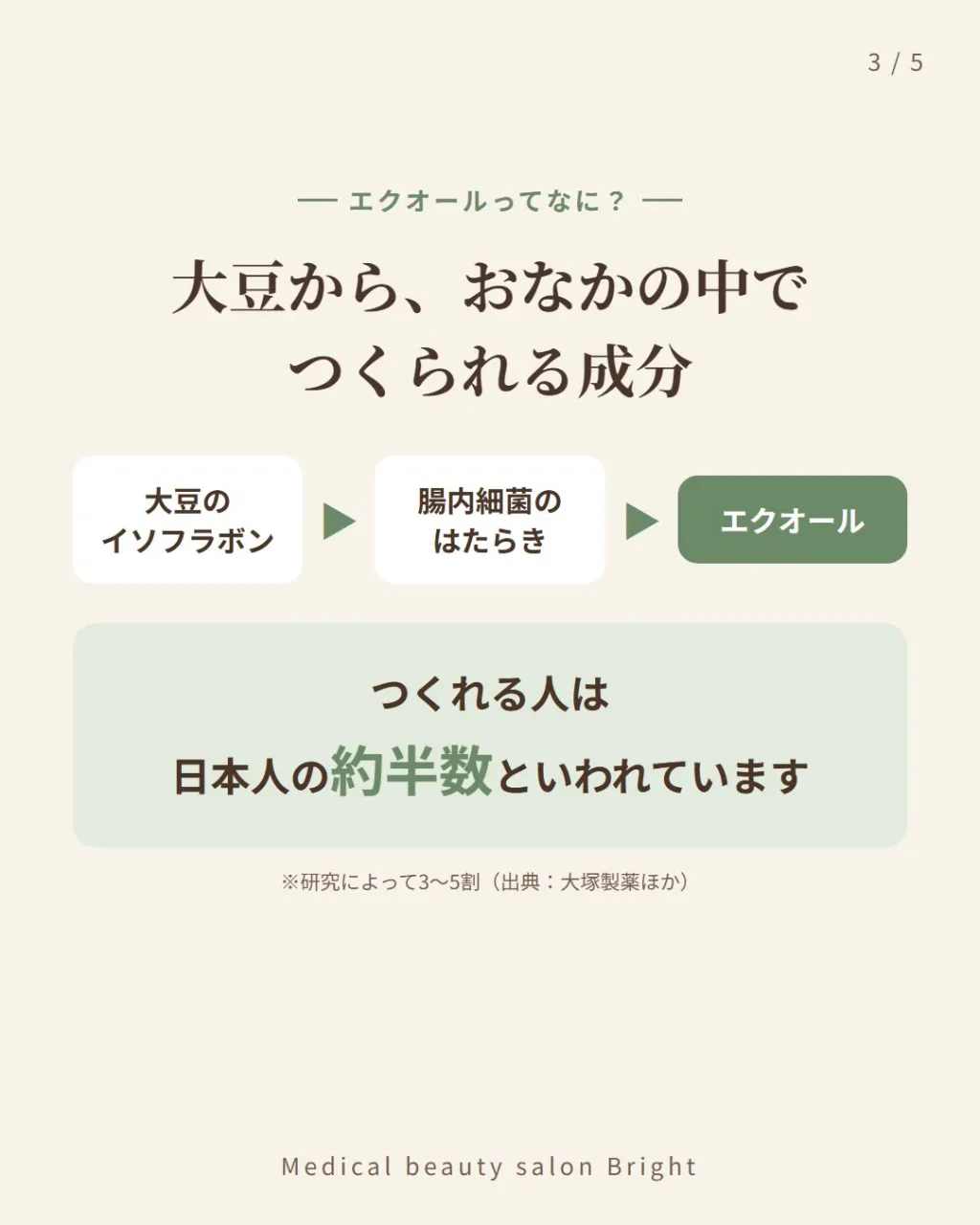 こんにちは、ブライトのスタッフです🌿