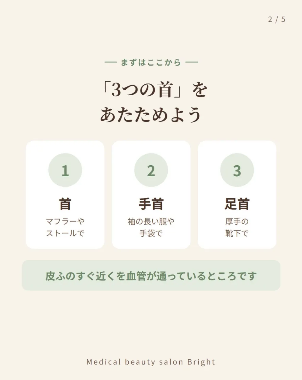 こんにちは、ブライトのスタッフです🌿